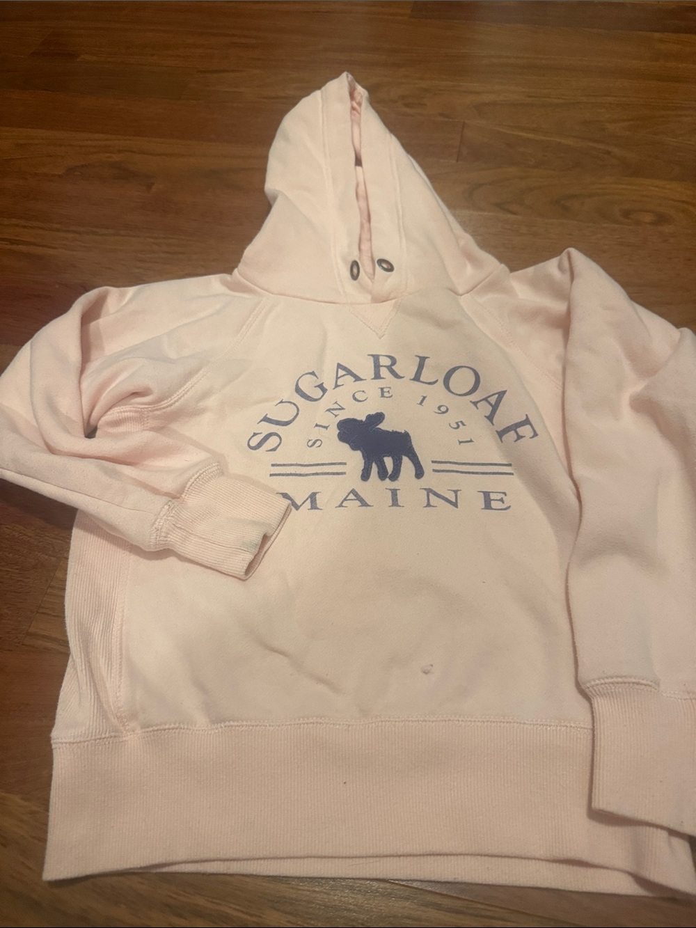 Blue 84 Light Pink Hoodie with Navy Logo